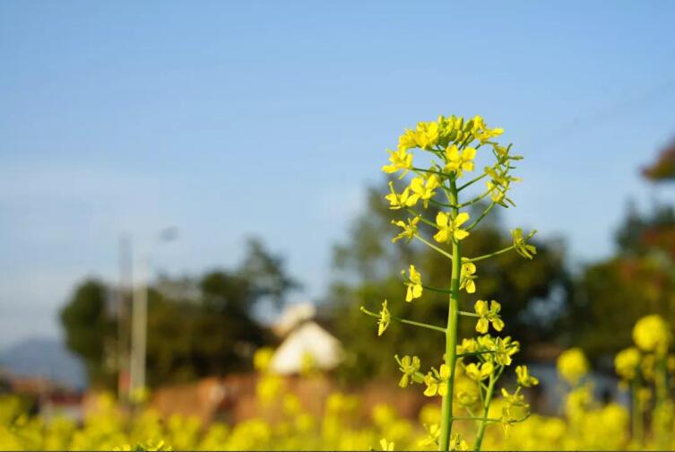 春季該如何預(yù)防控制高血壓？