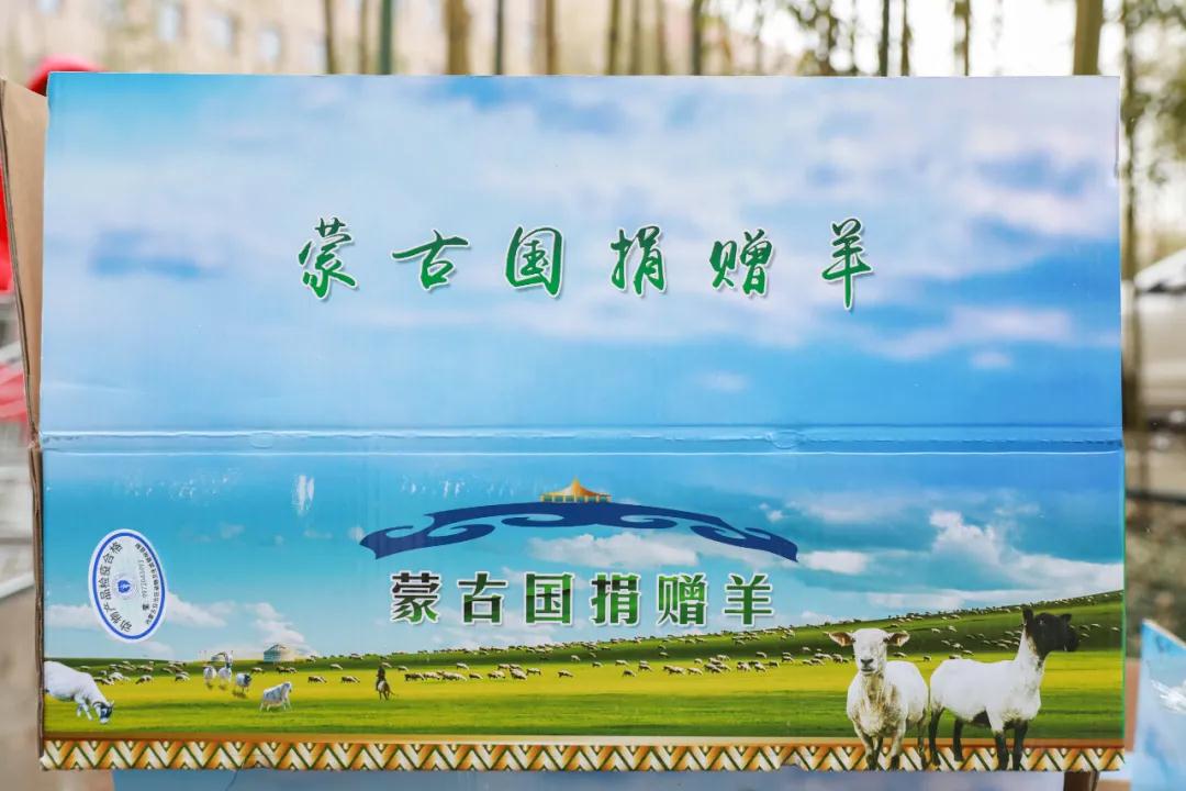 援鄂醫(yī)療隊：“暖羊羊”來啦！