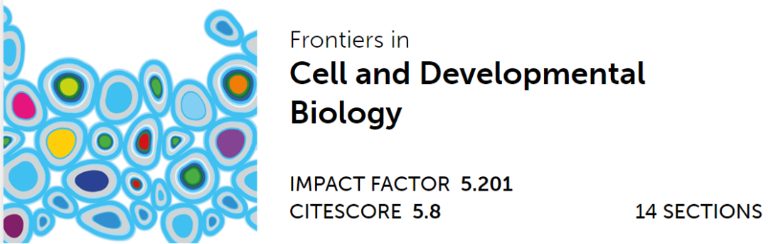 心臟病醫(yī)院王海昌院長(zhǎng)科研團(tuán)隊(duì)在心肌病研究領(lǐng)域有新突破！