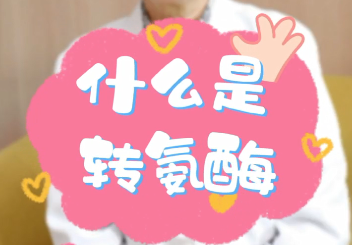 【名醫(yī)面對(duì)面之消化100問(wèn)】什么是轉(zhuǎn)氨酶？