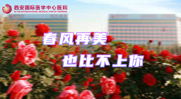 春風(fēng)再美，也比不上你……