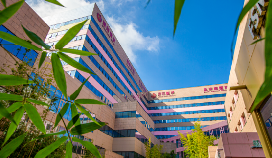 國醫(yī)四味：竹林、紫杉、桂花、銀杏，還有那……