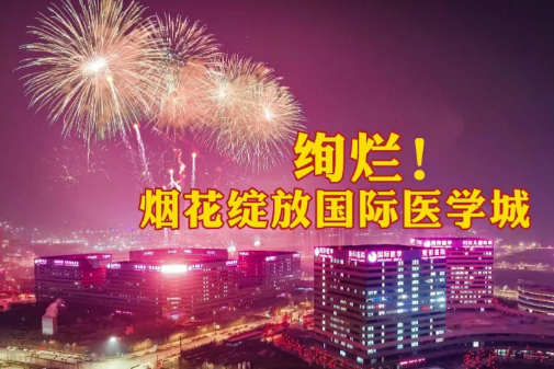絢爛！煙花綻放國(guó)際醫(yī)學(xué)城